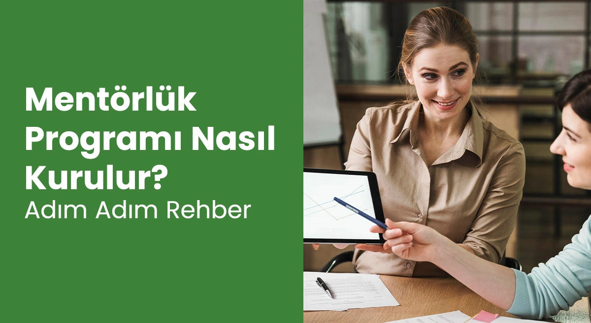 Mentörlük Programı Nasıl Kurulur? Adım Adım Rehber